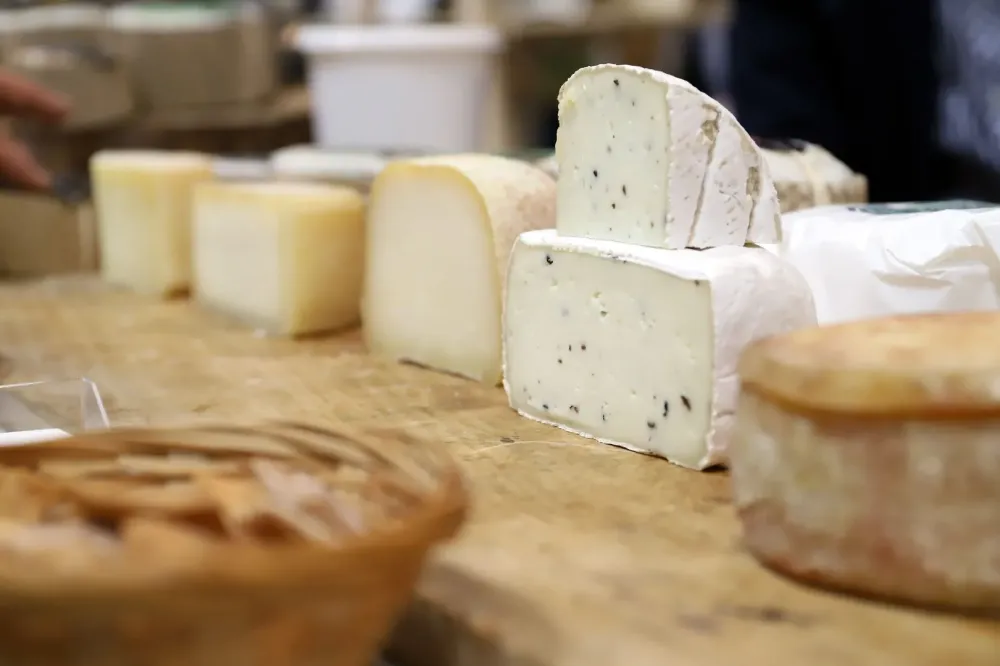 Fromagerie artisanale à Treigny-Perreuse-Sainte-Colombe